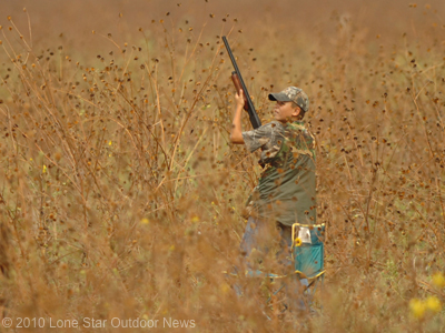 State researchers said they have collected enough dove for a study on the use of lead vs. non-lead shot. Photo by David J. Sams, LSONews.com.
